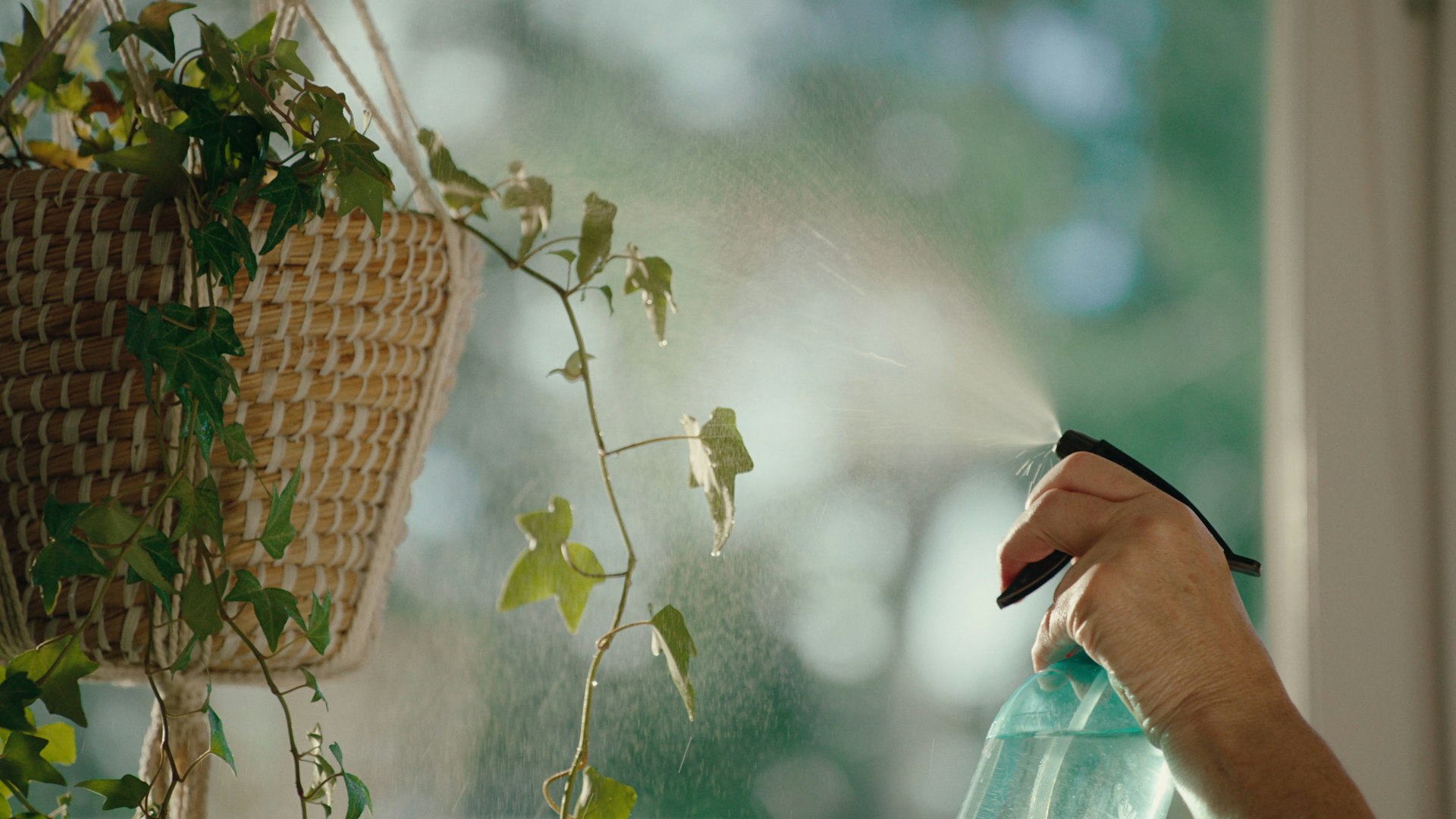 frame_309.jpg