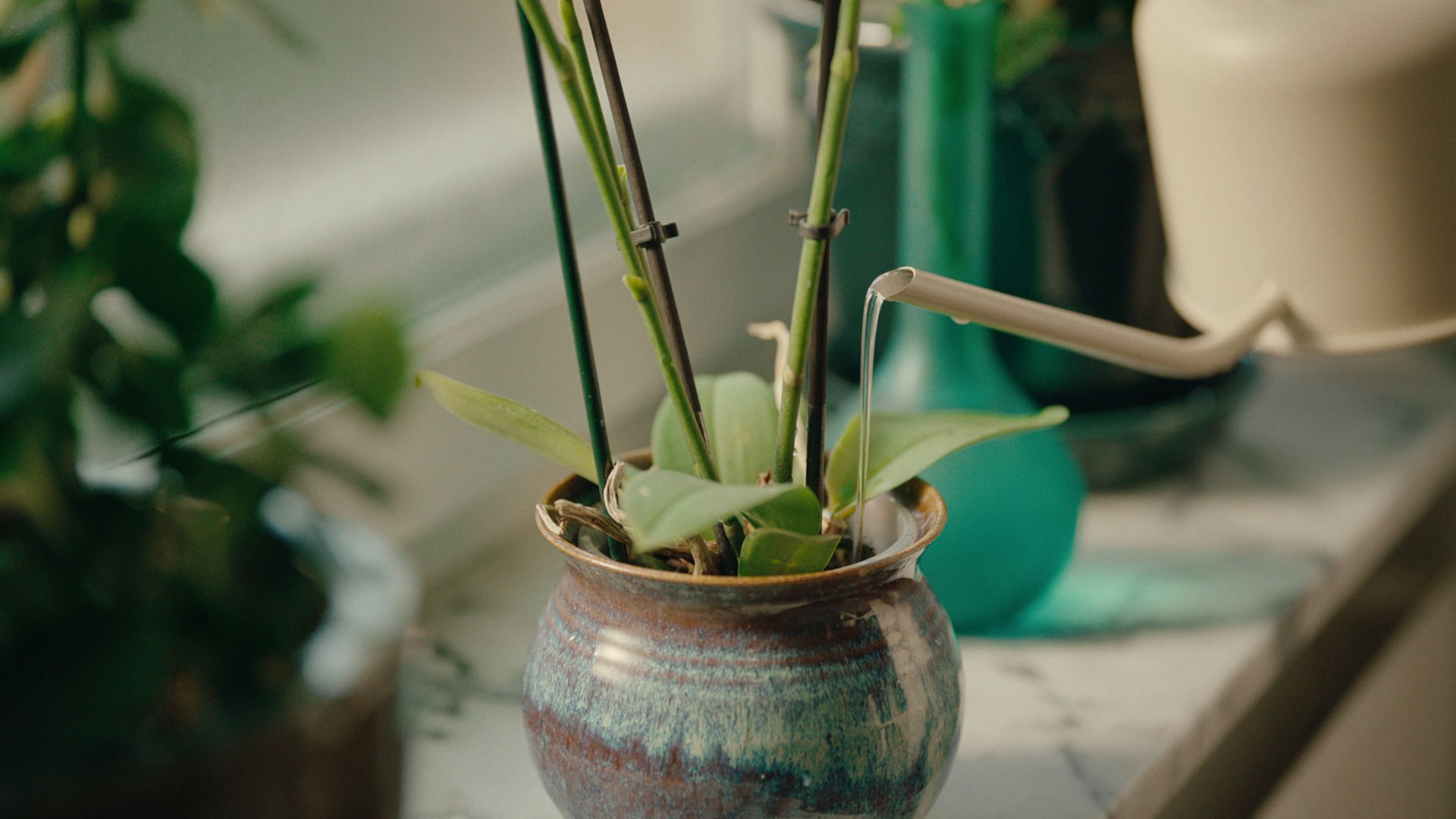 frame_288.jpg